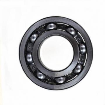 Bearing Catalogue Deep Groove Ball Bearing 6000 6001 6002 6003 6004 6005 6006 6007 6008 6009 6010 6021 6022 6023 6024 Open Z Zz 2z 2RS RS for Machinery