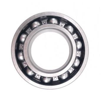 NTN NSK SKF Koyo IKO NACHI 6301 Motorcycle Ball Bearing 6300 6301zz 6305/C3 6204 6201RS 6203 6204 6205 6206 6212 6202 6203lhx3 6205